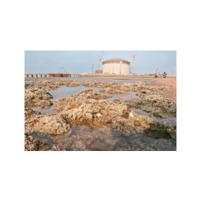 20211115-2.png 20211115-2.png