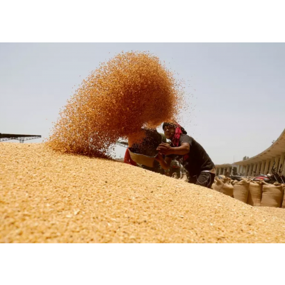 調整用-8.png 調整用-8.png